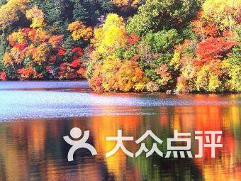 三小只僵尸的游戏时间1